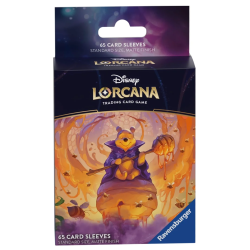 PROTEGE CARTE WINNIE 2