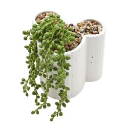 MICKEY - Shapes - Pot 3D + Fausse Plante 2