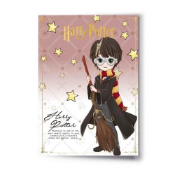 HARRY POTTER - Harry - Carte de Voeux avec Pin's 2
