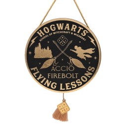 HARRY POTTER - Flying Lesson - Décoration Murale 2