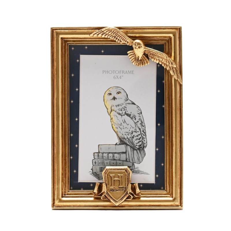 HARRY POTTER - Hedwige - Cadre Photo 3D 