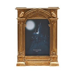 HARRY POTTER - Miroir de Rised - Cadre Photo 3D 2
