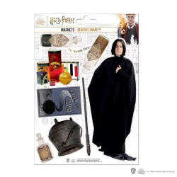HARRY POTTER - Severus Rogue - Planche de 8 magnets en mousse 2