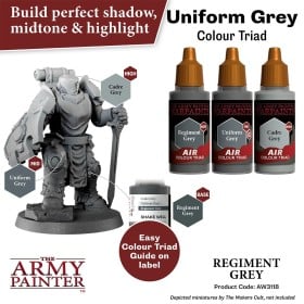 Air Regiment Grey