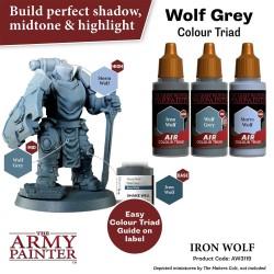 Air Iron Wolf 2