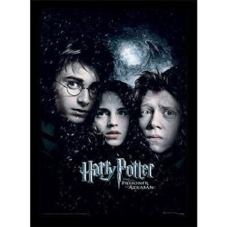 HARRY POTTER - Le Prisonnier d'Azkaban - Impression encadrée 30x40cm 2