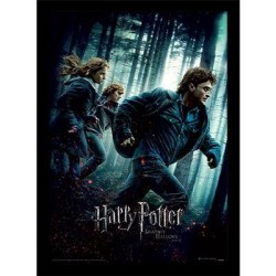 HARRY POTTER - Reliques de la Mort Part 1 -Impression encadrée 30x40cm 2