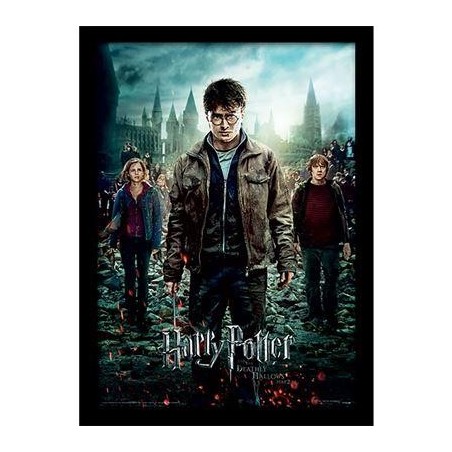 HARRY POTTER - Reliques de la Mort Part 2 -Impression encadrée 30x40cm 