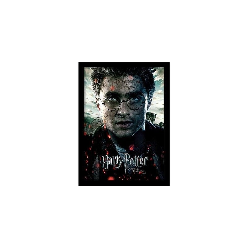 HARRY POTTER -Reliques Mort Part2 "Harry" -Impression encadrée 30x40cm 