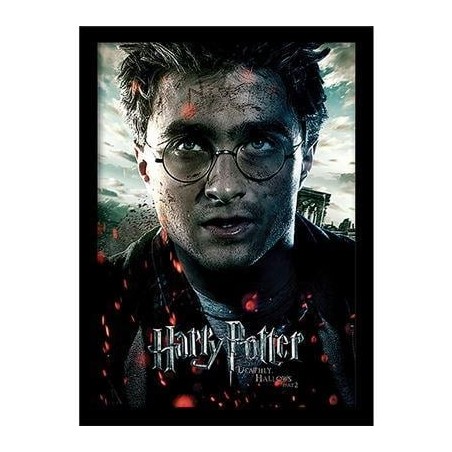 HARRY POTTER -Reliques Mort Part2 "Harry" -Impression encadrée 30x40cm 