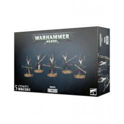 DRUKHARI INCUBUS
