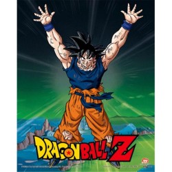 DRAGON BALL Z - Power Level Increased - 3D Lenticular Poster 26X4 2