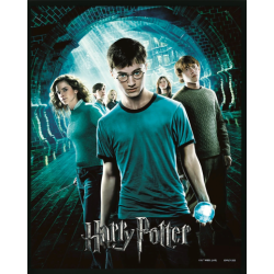 HARRY POTTER - L'ordre du Phénix - 3D Lenticular Poster 26X4 2