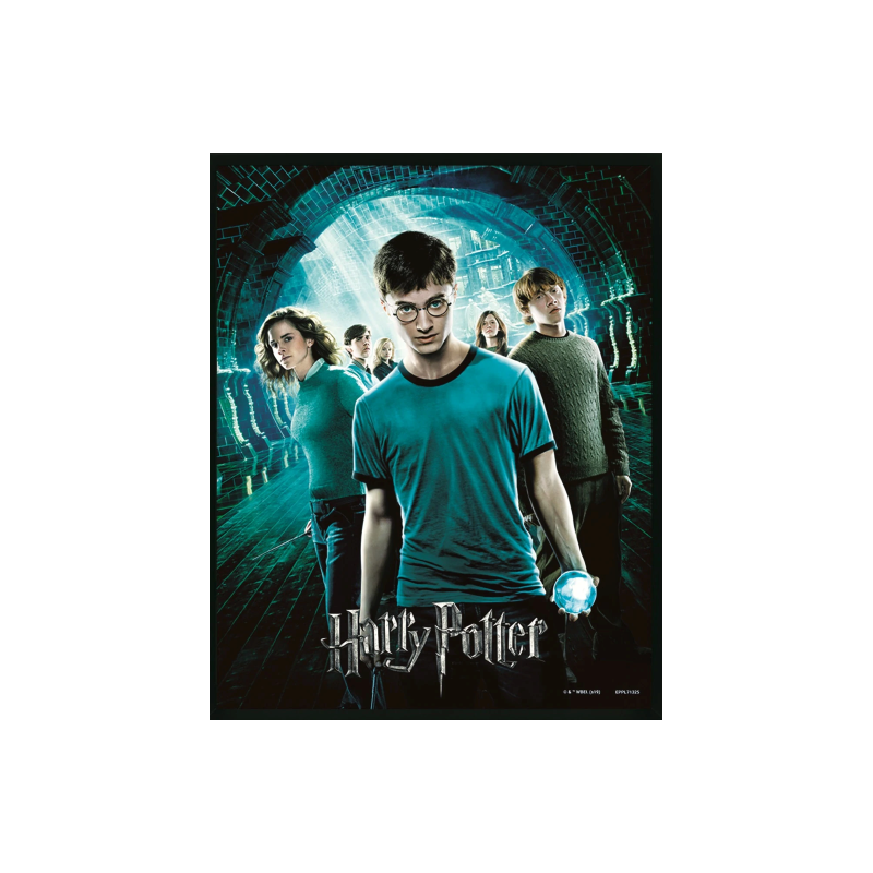 HARRY POTTER - L'ordre du Phénix - 3D Lenticular Poster 26X4 