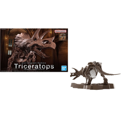 IMAGERY SKELETON - 1/32 Triceratops - Model Kit 2