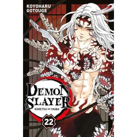 DEMON SLAYER - Tome 22 