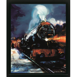 HARRY POTTER - Poudlard Express - Poster lenticulaire 3D 29x24x4cm 2