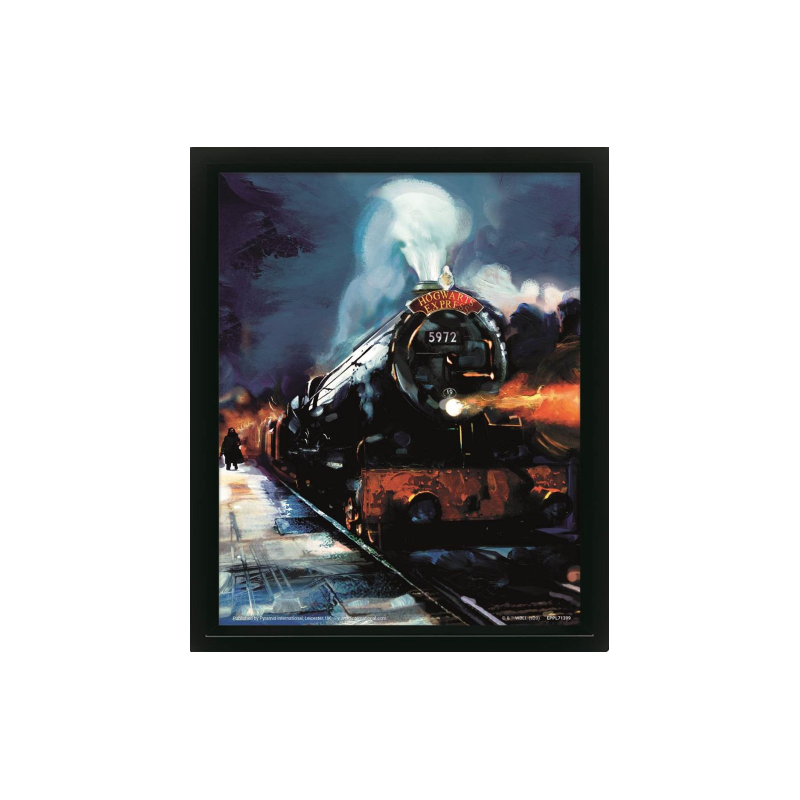 HARRY POTTER - Poudlard Express - Poster lenticulaire 3D 29x24x4cm 