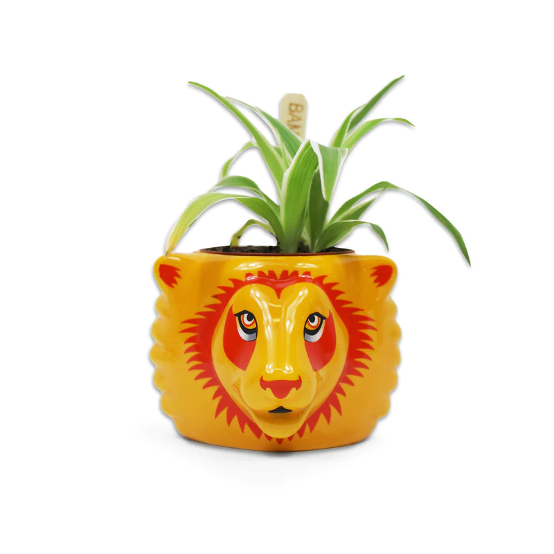 HARRY POTTER - Gryffondor - Pot Pour Plante 