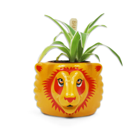 HARRY POTTER - Gryffondor - Pot Pour Plante 