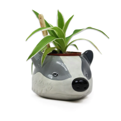HARRY POTTER - Poufsouffle - Pot Pour Plante 2