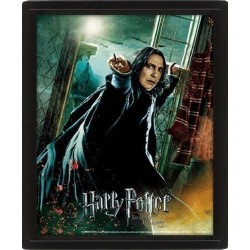 HARRY POTTER - Deathly Hallows - Poster lenticulaire 3D 26x20cm 2