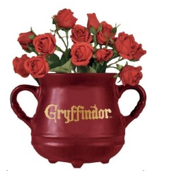 HARRY POTTER - Chaudron Gryffondor - Pot de fleur mural 2
