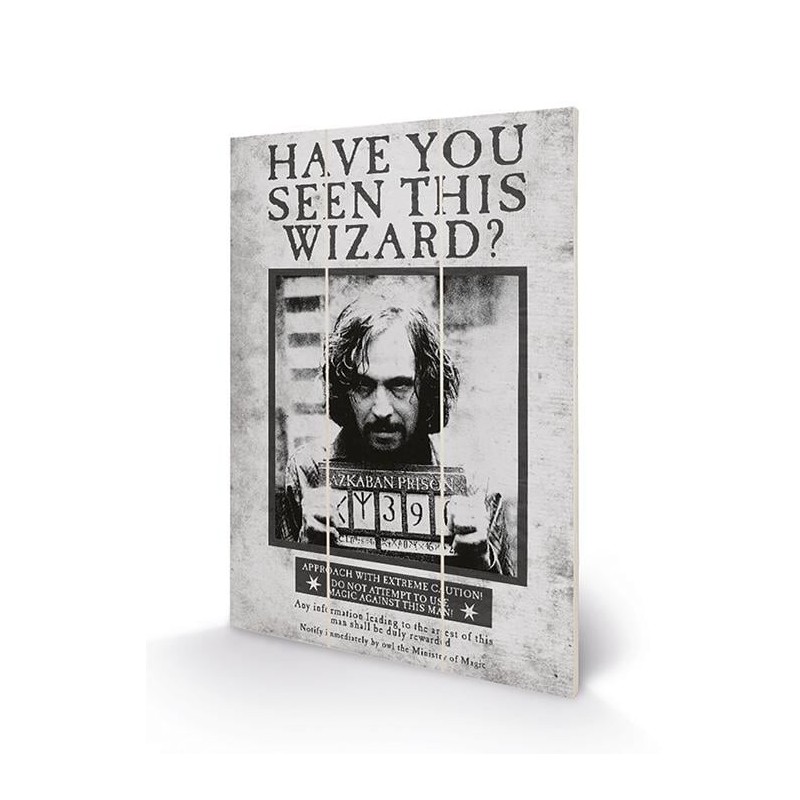 HARRY POTTER - Sirius Wanted - Impression sur bois 20x29.5 