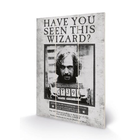 HARRY POTTER - Sirius Wanted - Impression sur bois 20x29.5 