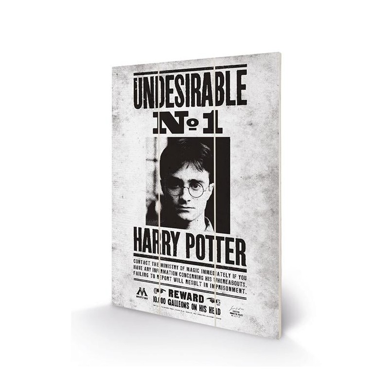 HARRY POTTER - Undesirable No1 - Impression sur bois 20x29.5 