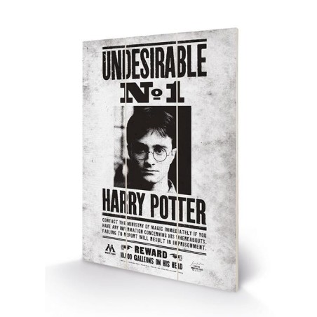 HARRY POTTER - Undesirable No1 - Impression sur bois 20x29.5 
