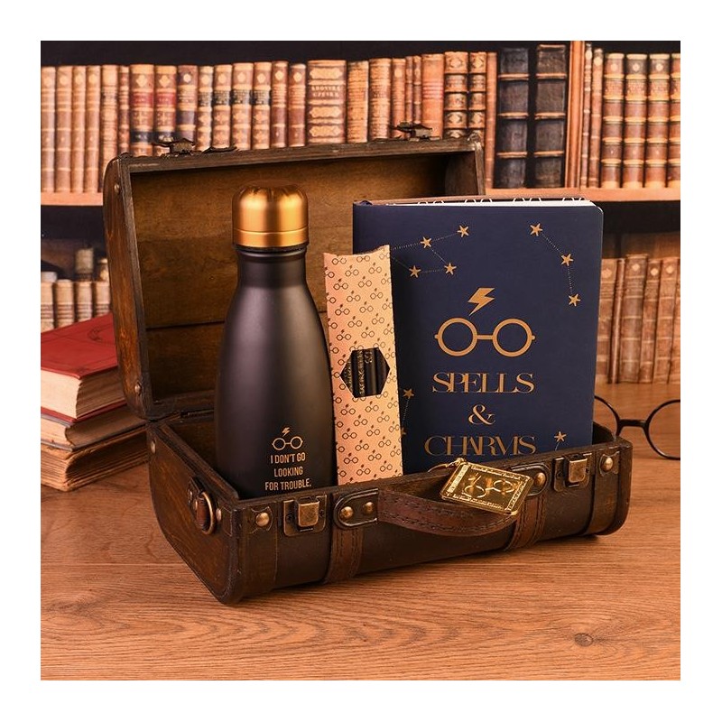HARRY POTTER - Trouble Finds Me - Valise gift set premium 