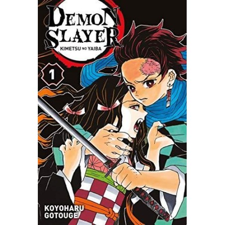 DEMON SLAYER - Tome 1 