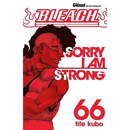 BLEACH - Tome 66 