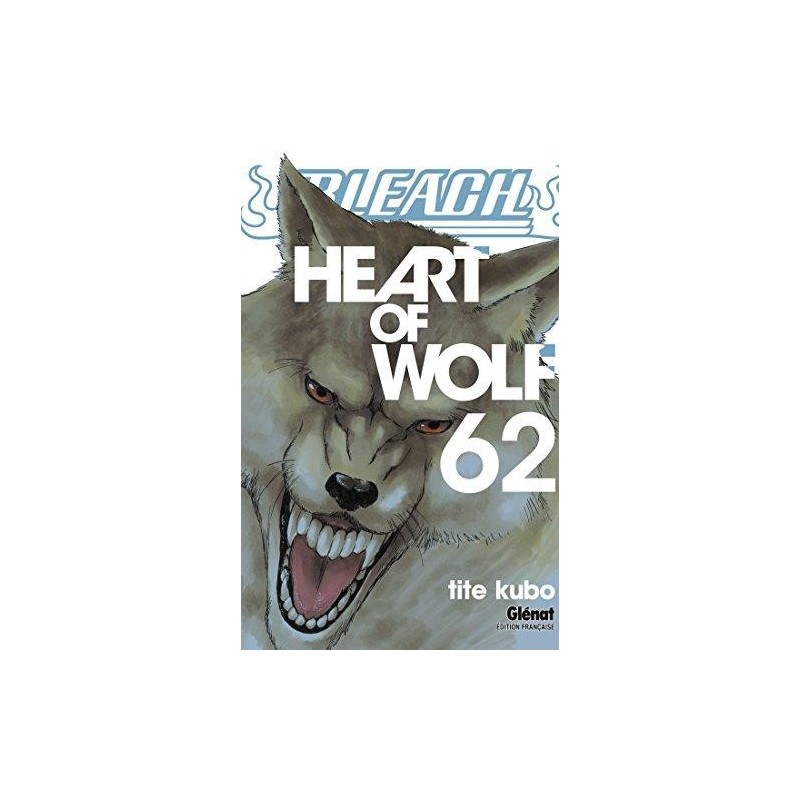 BLEACH - Tome 62 