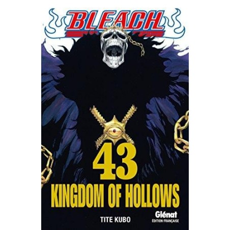 BLEACH - Tome 43 
