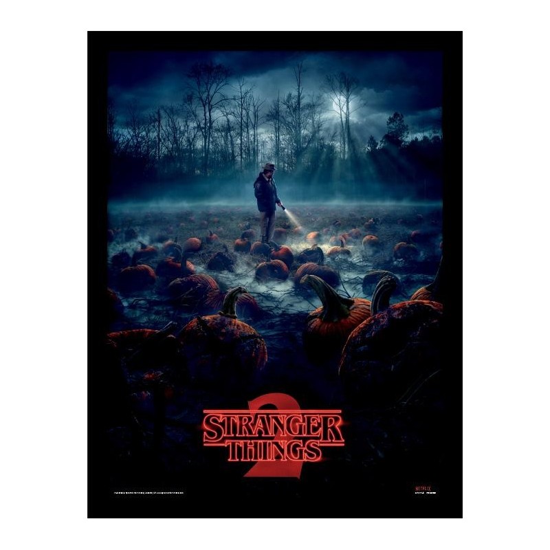 STRANGER THINGS - Pumpkin Patch - Impression encadrée 30x40cm 
