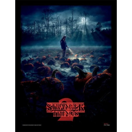 STRANGER THINGS - Pumpkin Patch - Impression encadrée 30x40cm 