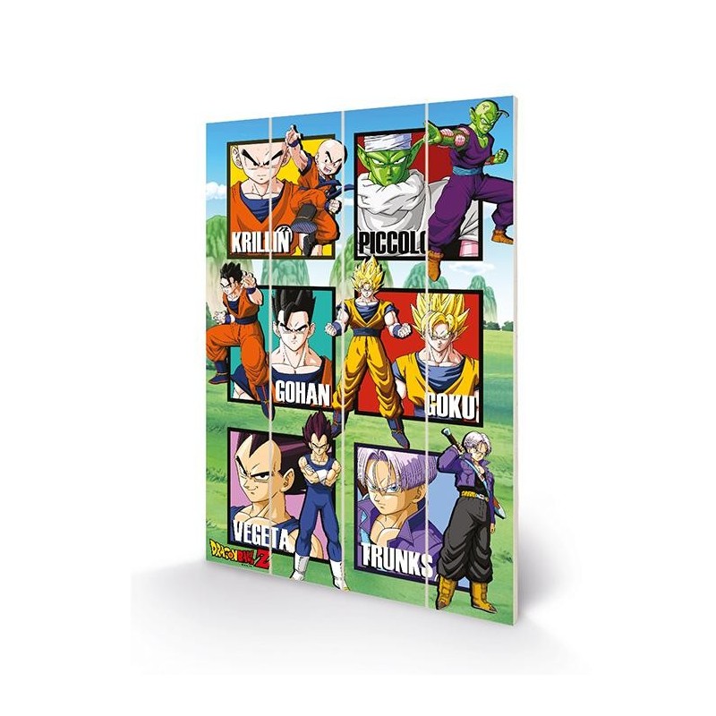 DRAGON BALL Z - Warrior Squares - Impression sur bois 40x59cm 