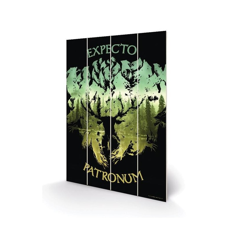 HARRY POTTER - Expecto Patronum - Impression sur bois 20x29.5 