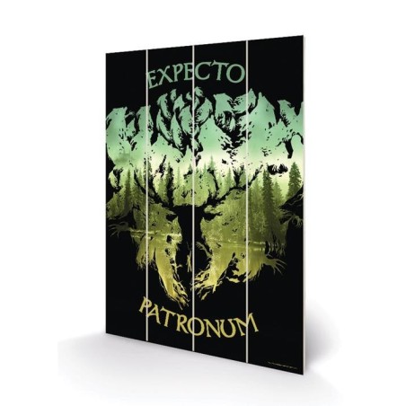 HARRY POTTER - Expecto Patronum - Impression sur bois 20x29.5 