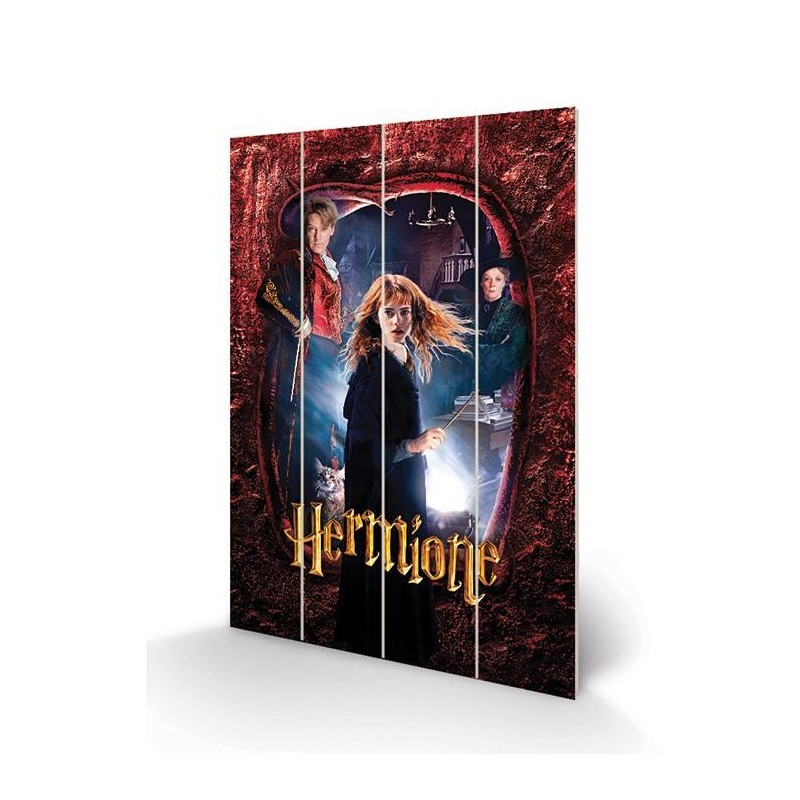 HARRY POTTER - Hermione - Impression sur bois 40x59cm 