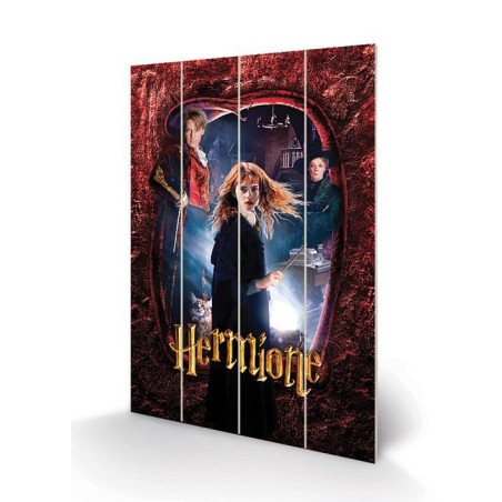 HARRY POTTER - Hermione - Impression sur bois 40x59cm 