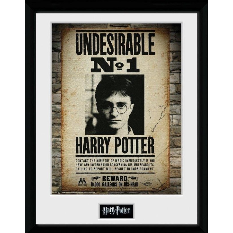HARRY POTTER - Collector Print 30X40 - Undesirable No1 