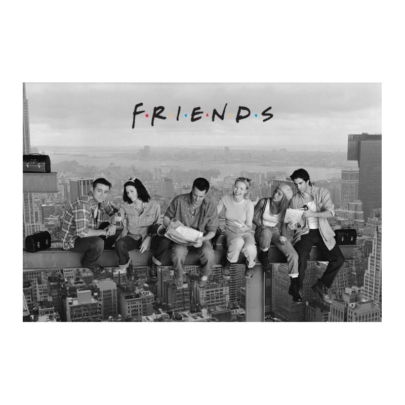 FRIENDS - Poster 61X91 - Skyscraper 