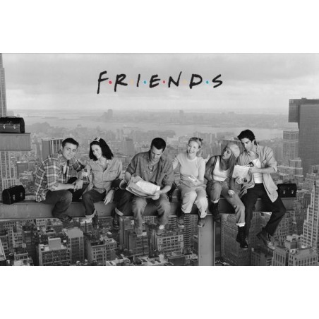 FRIENDS - Poster 61X91 - Skyscraper 