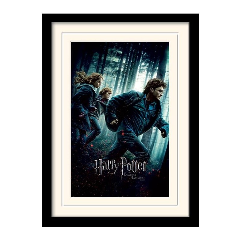 HARRY POTTER - Mounted & Framed 30X40 Print - Deathly Hallows Part 1 