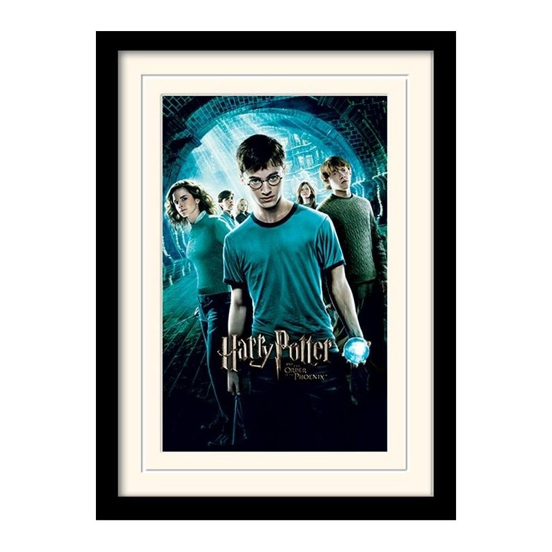 HARRY POTTER - Mounted & Framed 30X40 Print - Order of The Phoenix 