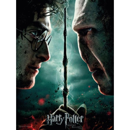 HARRY POTTER - Impression en Verre - Harry / Voldemort - 30X40 Cm 
