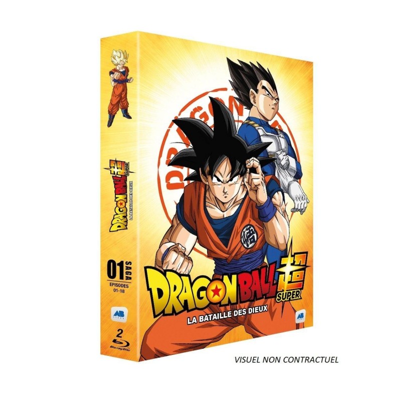DRAGON BALL SUPER - Vol 1 - La Bataille des Dieux (2BR) 